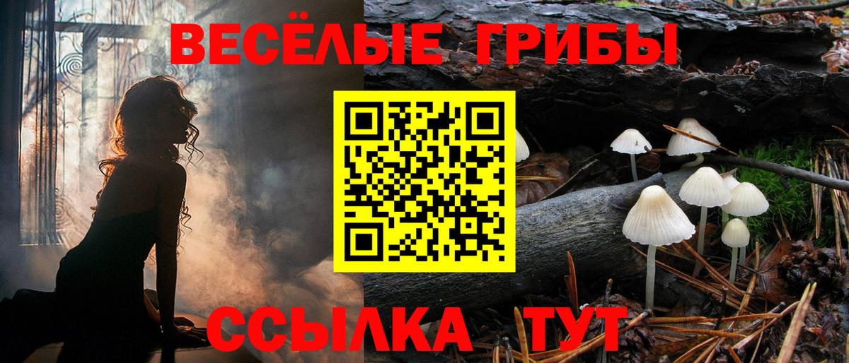 Галлюциногенные грибы ЛСД Ступино